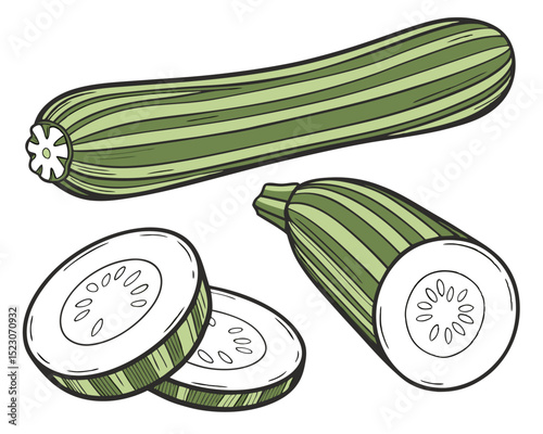 Collection set of Zucchini In different perspectives