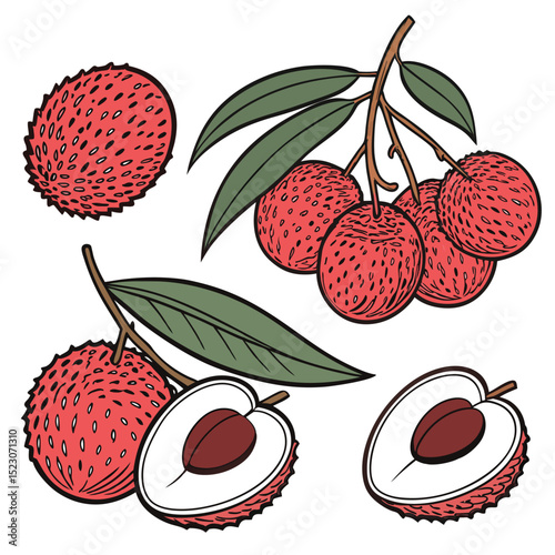 Collection set of Lychee In different perspectives