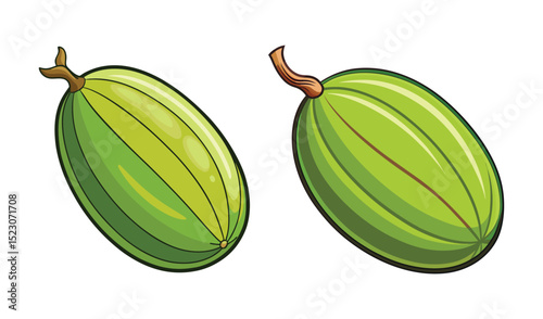 Photo of two vibrant green gooseberries, isolated on white background, showcase their smooth skins and subtle brown stems