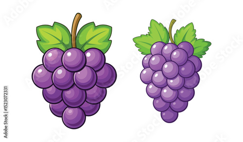 Photo of two bunches of ripe purple grapes, isolated on white background, one compact and the other elongated, showcasing vibrant colors and fresh leaves