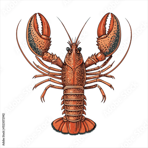 Explore the intriguing characteristics of the vibrant lobster species in nature