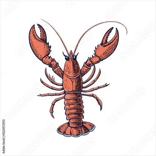 Explore the intriguing characteristics of the vibrant lobster species in nature
