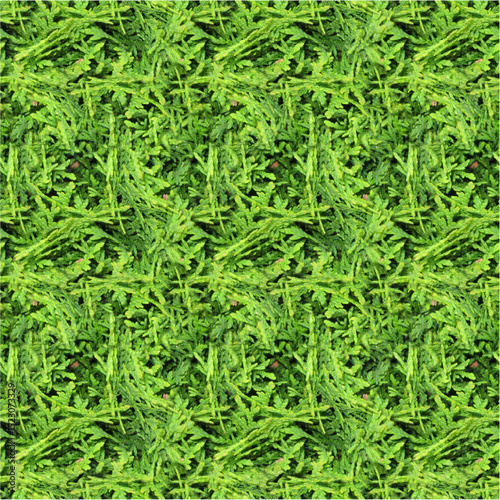 green grass background
