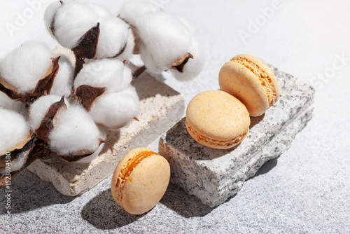 Macaroon cakes on the podium of travertine and cotton branch. Art and Food