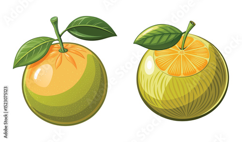 Photo of a vibrant illustration of a whole and a halved citrus fruit, isolated on white background