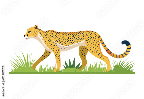 Graceful Cheetah Walking On Green Ground