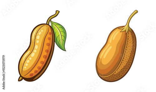 Photo of a ripe peanut in its shell and a freshly harvested peanut, isolated on white background