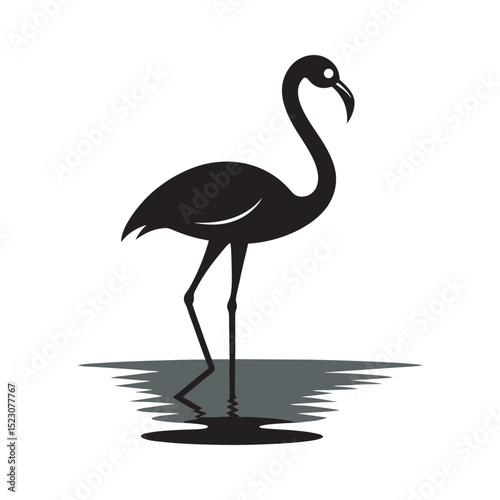 Elegant Flamingo Standing Water