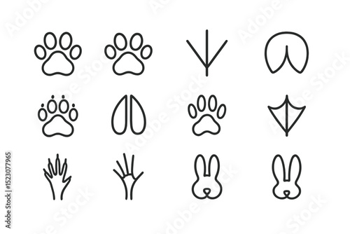Various animal paw and footprint silhouettes on black background