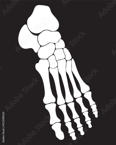 Human foot skeleton anatomical icon in white on black style depicting bone structure, heel, and toe bones for medical illustration