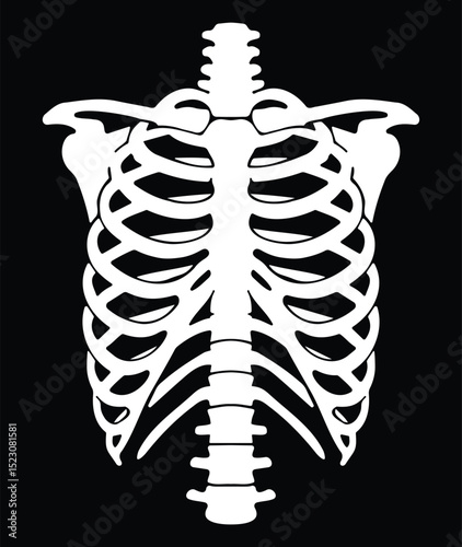 Human ribcage bone anatomical structure in black silhouette style showing thoracic skeletal system for educational or medical use