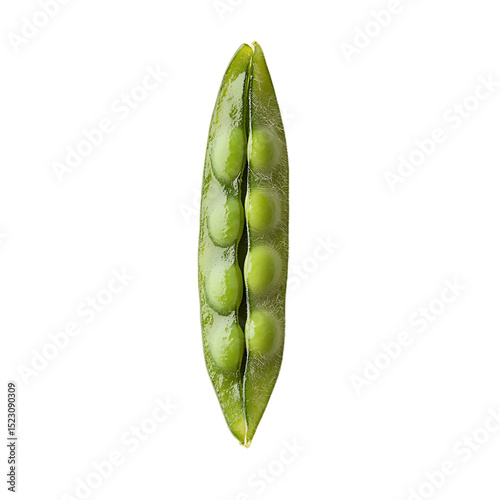 Single raw green edamame pod