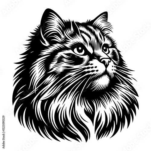 Majestic Siberian Cat Head Portrait Black and White Outline Line Art Drawing Capturing Detailed Fur and Expressive Eyes