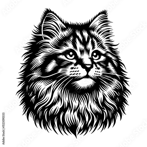 Detailed Fluffy Siberian Kitten Cat Head Portrait Black and White Outline Line Art Drawing Engraved Style