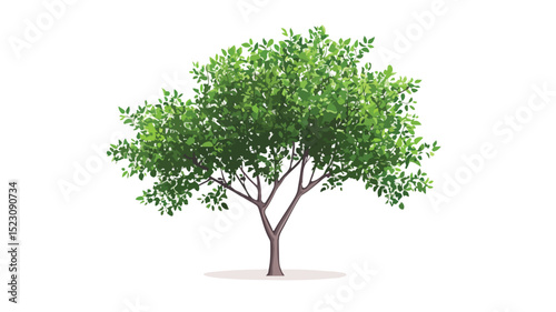 Vibrant Green Leaves Tree on White Background for Graphic Design Inspiration