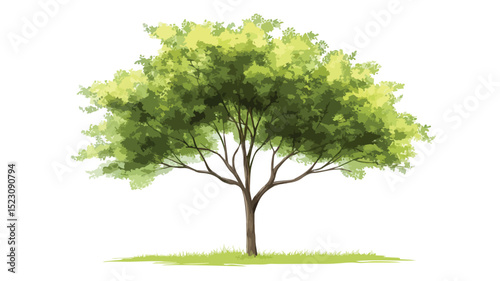 Vibrant Green Leaves Tree on White Background for Graphic Design Inspiration