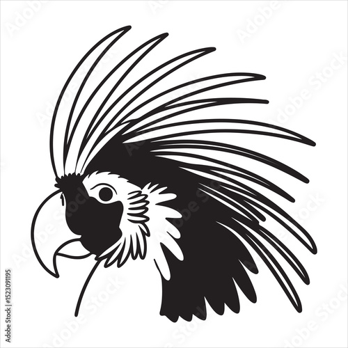 Palm Cockatoo – Striking Black Parrot with Red Cheeks and a Majestic Crest