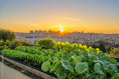 Rooftop garden flourishing at sunset in urban landscape Generative AI