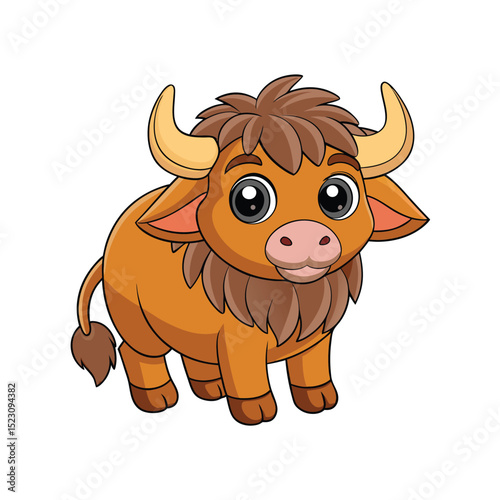 buffalo on white background