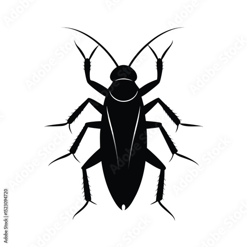 cockroach black silhouette vector on white backgro