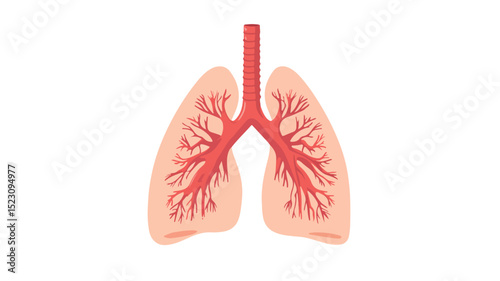 Professional Human Lungs Icon Vector Illustration Isolated