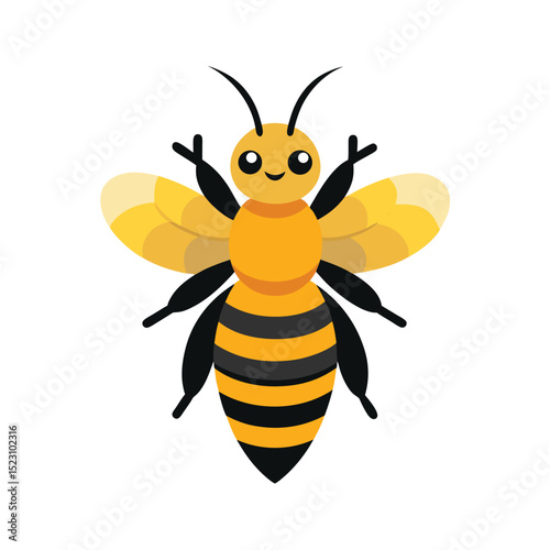 honey bee on white background