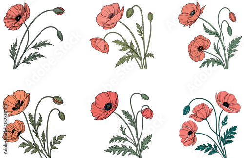 Poppies Vector Clipart Beautiful Flat Poppy Flower Illustrations for Nature, Botanical, and Floral Designs