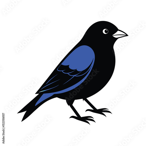 indigo bunting bird black silhouette vector on whi