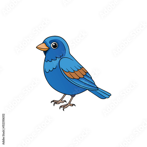 indigo bunting bird on white background