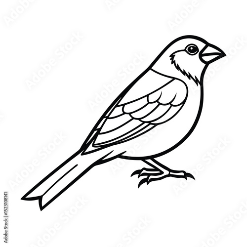 line art indigo bunting bird