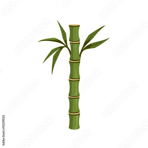 Green Bamboo Stalk with Leaves Vector Illustration on White Background, Symbol of Strength and Flexibility