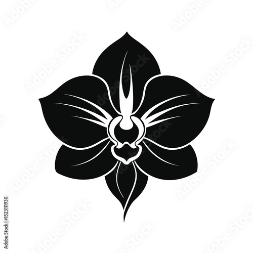 orchid flower black silhouette vector on white ba