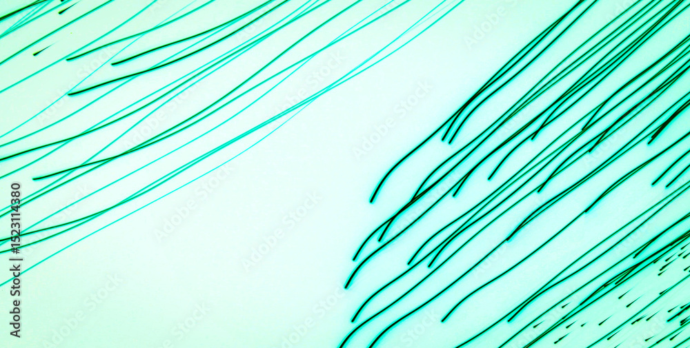 Obraz premium Quirky and Playful Technicolor Wonderland with a Burst of Colors and Abstract Geometric Shapes