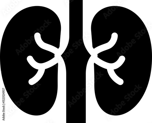 Human kidneys icon. Silhouette style.