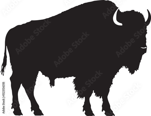 Bison Buffalo Cow Silhouette