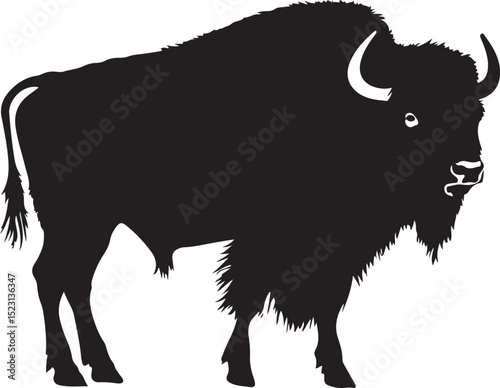 Bison Buffalo Cow Silhouette
