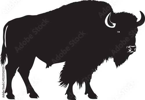 Bison Buffalo Cow Silhouette