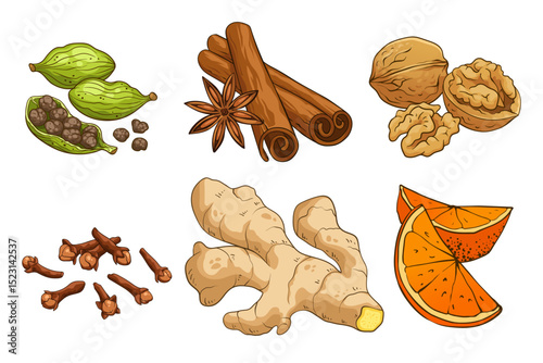 Traditional Christmas spices and ingredients: cardamom, star anise, cinnamon, walnut, clove, ginger, and orange slices. Hand-drawn vector illustration, isolated on white background