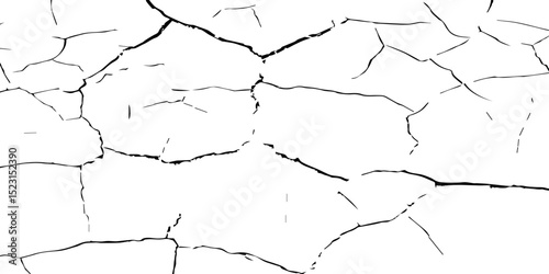 A close-up, high-contrast black and white photograph showcasing a network of intricate cracks, resembling a dried-up surface, shattered glass, or a distressed texture. The lines are sharp and angular.