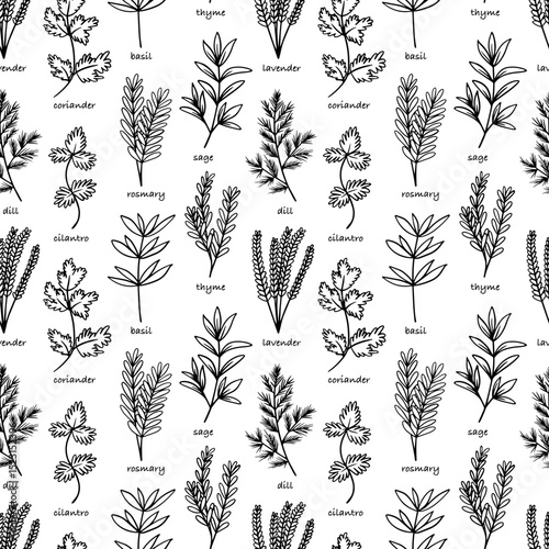 Cooking herbs and spices hand drawn vector seamless pattern