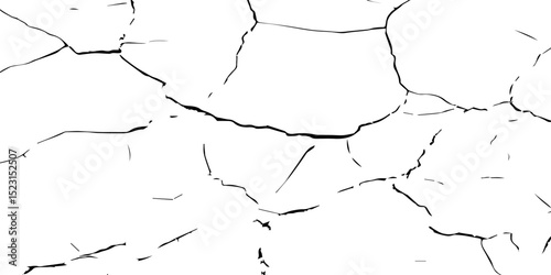 A close-up, high-contrast black and white photograph showcasing a network of intricate cracks, resembling a dried-up surface, shattered glass, or a distressed texture. The lines are sharp and angular.