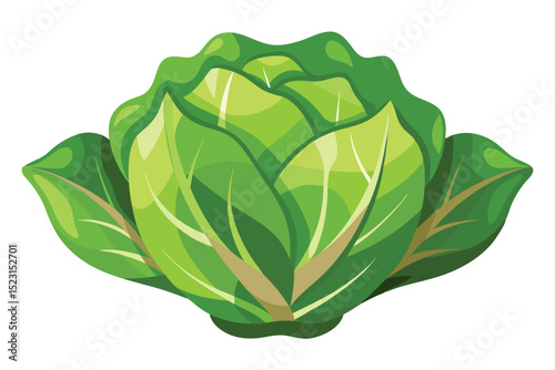 Fresh Green Lettuce Vibrant, Crisp, and Healthy Vegetable