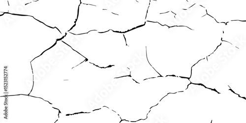 A close-up, high-contrast black and white photograph showcasing a network of intricate cracks, resembling a dried-up surface, shattered glass, or a distressed texture. The lines are sharp and angular.