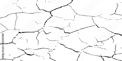 A stark, high-contrast, black and white texture image depicting a pattern of cracks, resembling distressed paint,shattered glass,or parched earth.The background is pure white,and the cracks are sharp.