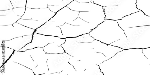 A stark, high-contrast, black and white texture image depicting a pattern of cracks, resembling distressed paint,shattered glass,or parched earth.The background is pure white,and the cracks are sharp.