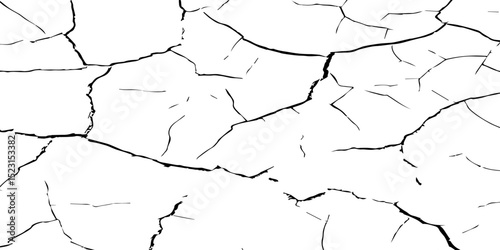 A stark, high-contrast, black and white texture image depicting a pattern of cracks, resembling distressed paint,shattered glass,or parched earth.The background is pure white,and the cracks are sharp.