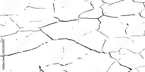 A close-up, high-contrast black and white photograph showcasing a network of intricate cracks, resembling a dried-up surface, shattered glass, or a distressed texture. The lines are sharp and angular.
