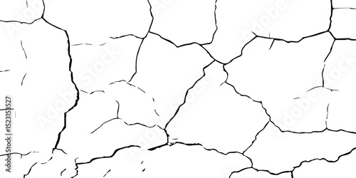 Generate a high-contrast, detailed image of a finely cracked white surface. The cracks should appear as thin, dark lines forming an intricate network across the white background, 
