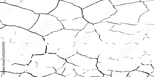Generate a high-contrast, detailed image of a finely cracked white surface. The cracks should appear as thin, dark lines forming an intricate network across the white background, 