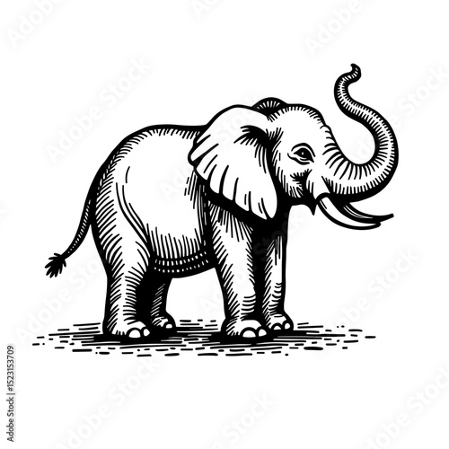 Playful cartoon elephant in black and white with trunk up in cheerful jungle style for kids’ animal stories and safari designs - wild animal - children’s decor